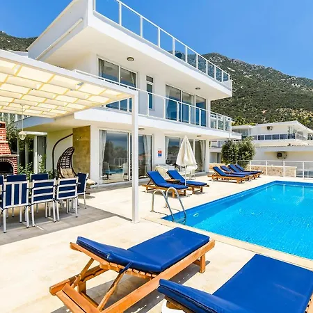 Royal Blue - Zeytouna * Kalkan